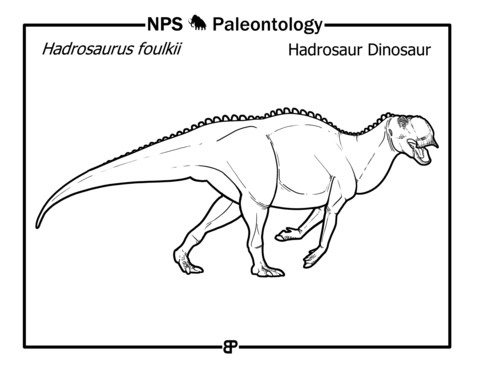 Hadrosaur Dinosaur (Hadrosaurus Foulkii) Coloring Page